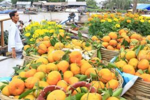 3-Day Mekong Delta Tour including: Cai Rang floating market - Cai Rang Floating Market at 6:00 AM: The Moment the Delta Earns Its Reputation