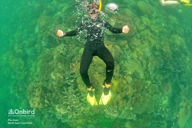 4 Islands & 2 Reefs - Discovery Snorkeling & Relaxing (MAX 12) - How the morning/afternoon departure works (and why you should care)