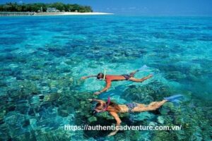 6-Day Vietnam Itinerary | Vibrant | Best 2026 South & Island - Ho Chi Minh City Start: Airport Pickup and Cu Chi Tunnels