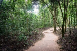 Afternoon Cu Chi Tunnels - Small Group Half-Day Tour - Ben Dinh Tunnels: orientation first, then real underground life