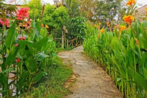 Cai Be Village - One-Day Mekong Delta Adventure - Ut Kiet Ancient House: Rice Paper, Honey, and Water Hyacinth Crafts