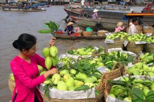 Cai Rang Floating Market & Mekong Delta Private 1-Day Tour - The Bike Ride to a Village: What It Adds Beyond the Boats