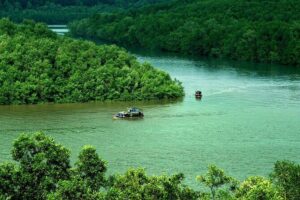 Can Gio Mangrove Forest 1 day tour - Dan Xay Bridge Pier: The Sugarcane Juice Warm-Up