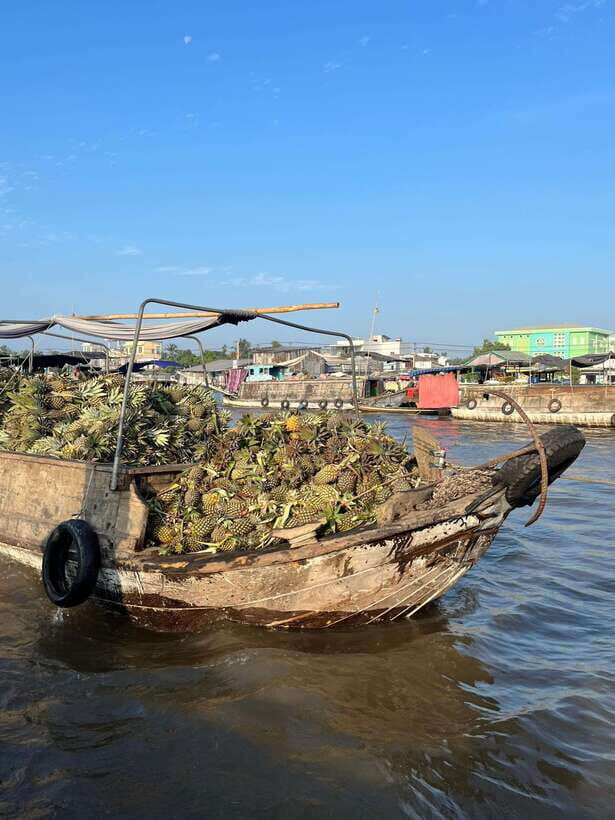 Can Tho: Cai Rang Floating Market and Canals - Getting to Bến Phà Xóm Chài and Finding the Right Pace