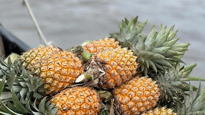 Can Tho: Floating Market explore local life, Mekong farm - Cái Răng Floating Market: breakfast on the water