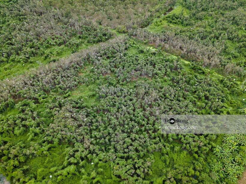 Can Tho: Lung Ngoc Hoang Forest Nature Reserve Half-Day Tour - Quick hits: what makes this Can Tho tour work so well