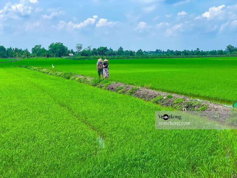 Can Tho: Lung Ngoc Hoang Forest Nature Reserve Half-Day Tour - Price and value: what $47 buys you in the real Mekong Delta