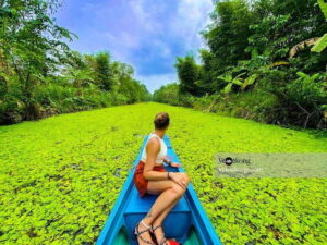 Can Tho: Lung Ngoc Hoang Nature Reserve & Forest Tour - The flooded-forest boat trip: narrow canals, birds, and calm cruising