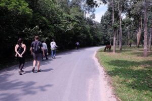 Cu Chi Tunnels By Motorbike and Scooter - A Local Family Visit That Turns Sights Into Stories