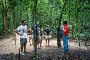 Cu Chi Tunnels Half-Day Tour: Vietnam War Underground Network - The van, the group size, and the start time that matter