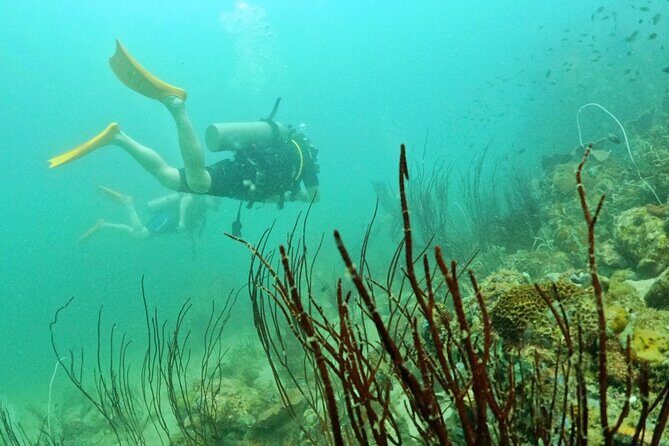 [GROUP] SCUBA DIVING for Certified Divers in Phu Quoc Island - Hotel pickup and the North vs South pier shuffle