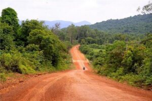 Half-day Motorbike Tour in Phu Quoc Island - Stop 1: Vườn tiêu Hai Dương pepper farm and a hands-on taste of Phu Quoc