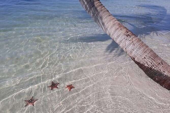 Half-day Motorbike Tour in Phu Quoc Island - Stop 4: Starfish Beach swim time, best season December to May