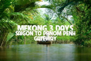 Ho Chi Minh: 3-Day Mekong Delta & Optional Exit to PhnomPenh - Cai Rang Floating Market and a noodle factory morning in Can Tho