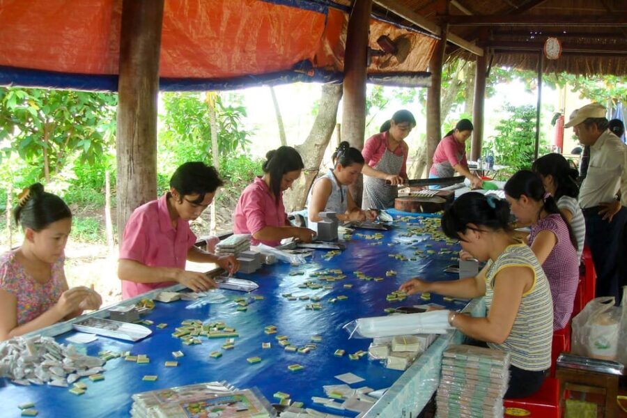 Ho Chi Minh: 3-Day Mekong Delta & Optional Exit to PhnomPenh - The guide factor: why small-group pacing feels better
