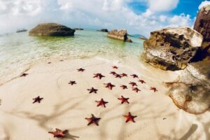 Land Tour 2: Discover the North - Kayaking & Starfish beach Phu Quoc (Not Lunch) - Getting There and Back: Pickup, Group Size, and Comfort Tips
