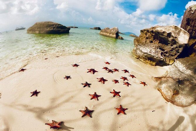 Land Tour 2: Discover the North - Kayaking & Starfish beach Phu Quoc (Not Lunch) - Getting There and Back: Pickup, Group Size, and Comfort Tips