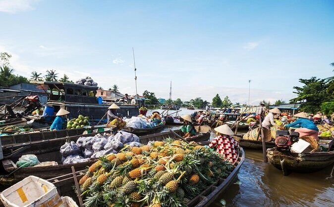 Mekong Delta Trip To Cai Be - Tan Phong Island With Lunch - Key things to know before you go