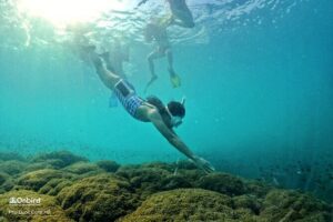 OnBird - PRIVATE ADVENTURE SNORKELING - explore Half-moon reef & Coral Mountain - How the schedule flows from Turtle-head Rock Beach to sunset