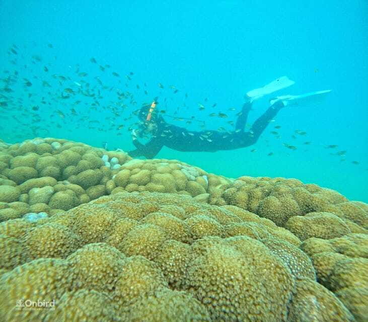 Phu Quoc: Speed Boat Tour 4 Islands - 2 Reefs Snorkeling - Who this tour suits best (and who should skip it)