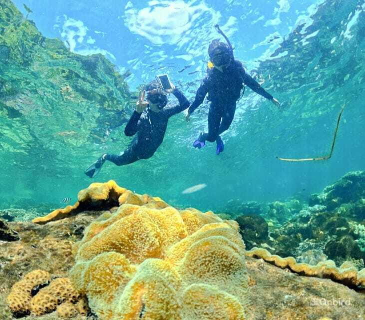 Phu Quoc Speedboat Pro Snorkeling: 4 Islands-2 Reefs & Meal - Price and real value: $61 isn’t the full picture