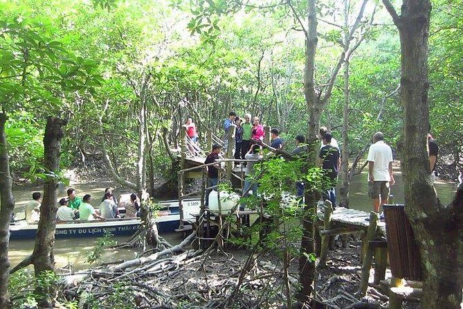 Private Can Gio Mangrove Eco Tour – Boat & Wildlife - Climbing the Canopy Tower at Vam Sat for Wildlife Views