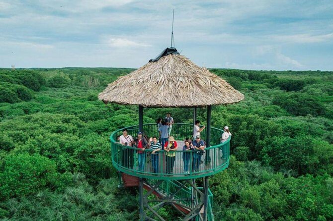 Private Can Gio Mangrove Eco Tour – Boat & Wildlife - Lunch at a Riverside Restaurant: The Break That Makes the Day Feel Full