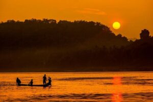 PRIVATE Luxury Sunset Mekong Afternoon trip from HCM city - Bee Farm, Honey Tea, and Rowing Quiet Branches: Small Stops With Personality