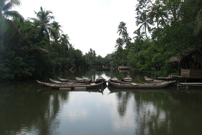 Private Mekong Delta Shore Excursions from Cruise Port - Tan Phu Village: honey tea, bee-keeping, and music you can hear