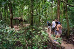 Private Tour to Explore Cu Chi Tunnels and Mekong Delta - Cu Chi Tunnels: living spaces, hospitals, command centers, and trap doors