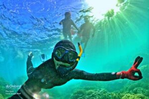 PRO-SNORKELING to Explore The Coral Jungle REEF (MAX 10 PAX) - Small Group + Pickup in Duong Dong, Ong Lang, and Cua Can