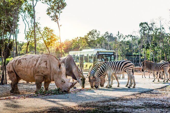 Safari Phu Quoc Ticket With Roundtrip Transfer - The safari bus circuit: where the tigers and lions go close