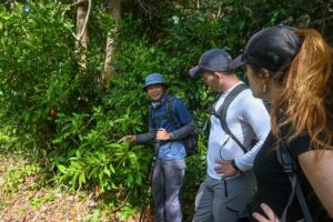 Trekking Tien Son Dinh Phu Quoc - Timing, pickup, and what the day rhythm feels like