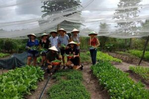 Unique farm to Table cooking class in Saigon - The harvest walk: picking exactly what your menu needs
