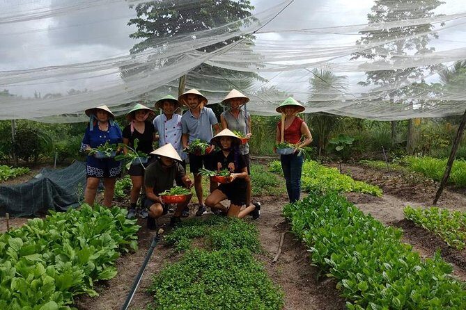 Unique farm to Table cooking class in Saigon - The harvest walk: picking exactly what your menu needs