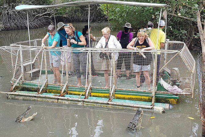 VIP Tour in Vam Sat: Can Gio Mangrove Forest by SpeedBoat - Wildlife searching with a guide: what you can look for